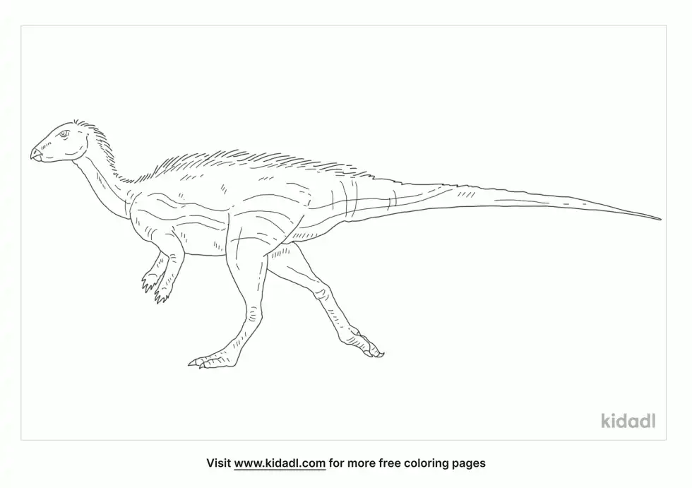 Albertadromeus Coloring Page