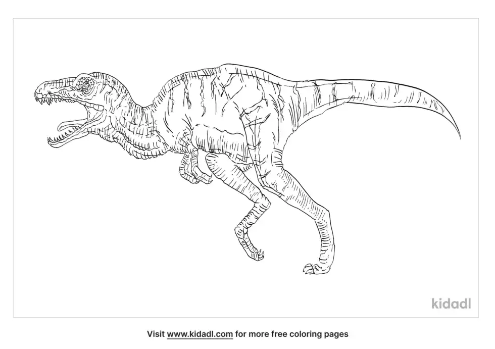 Poekilopleuron Coloring Page