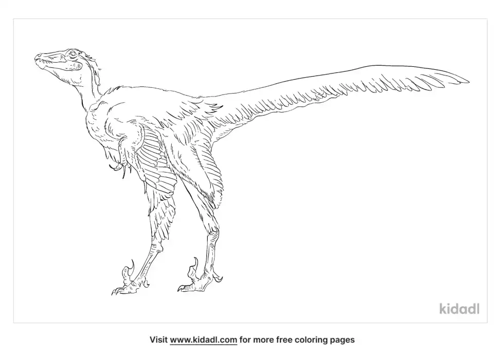 Tianyuraptor Coloring Page