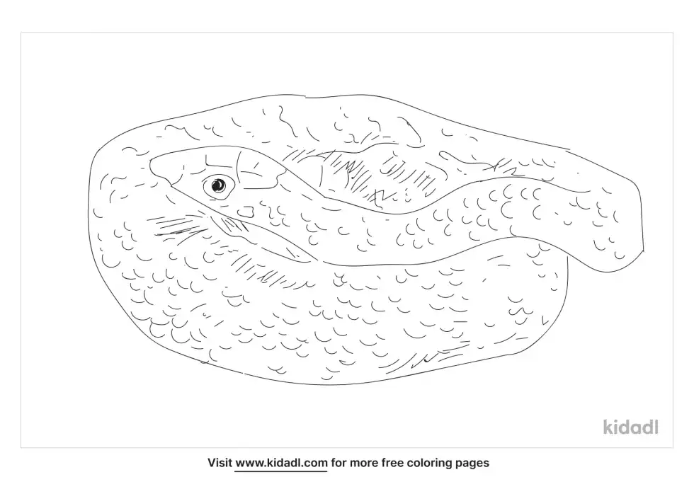 Egyptian False Cobra Coloring Page