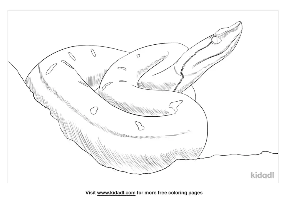 Hump-Nosed Pit Viper Coloring Page