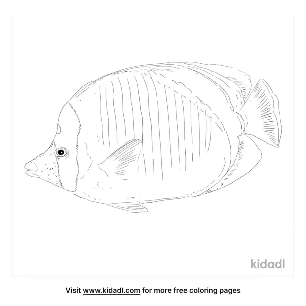 Lined Butterflyfish Coloring Page