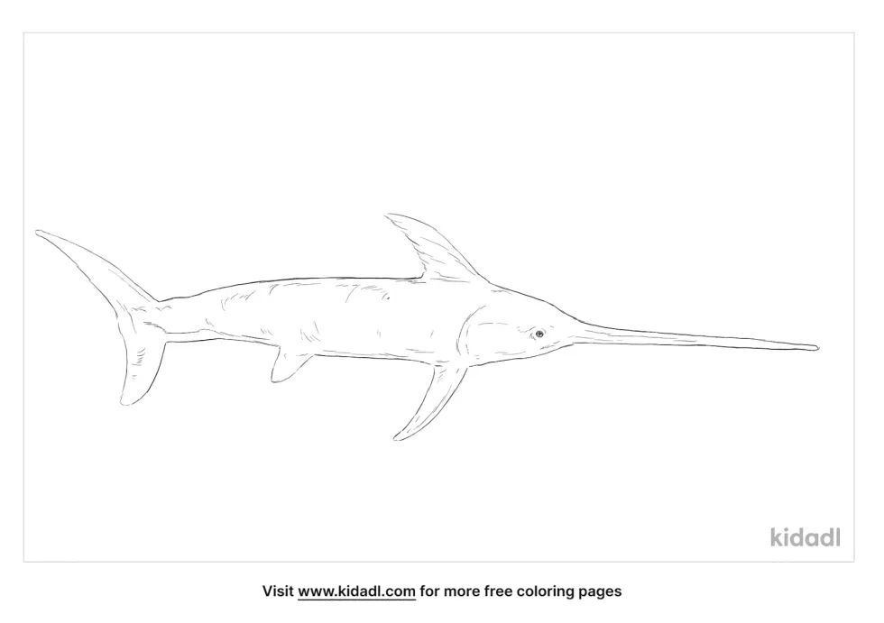 Broadbill Swordfish Coloring Page 