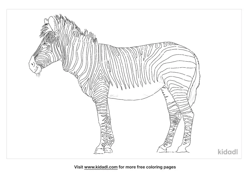 Hartmann's Mountain Zebra Coloring Page
