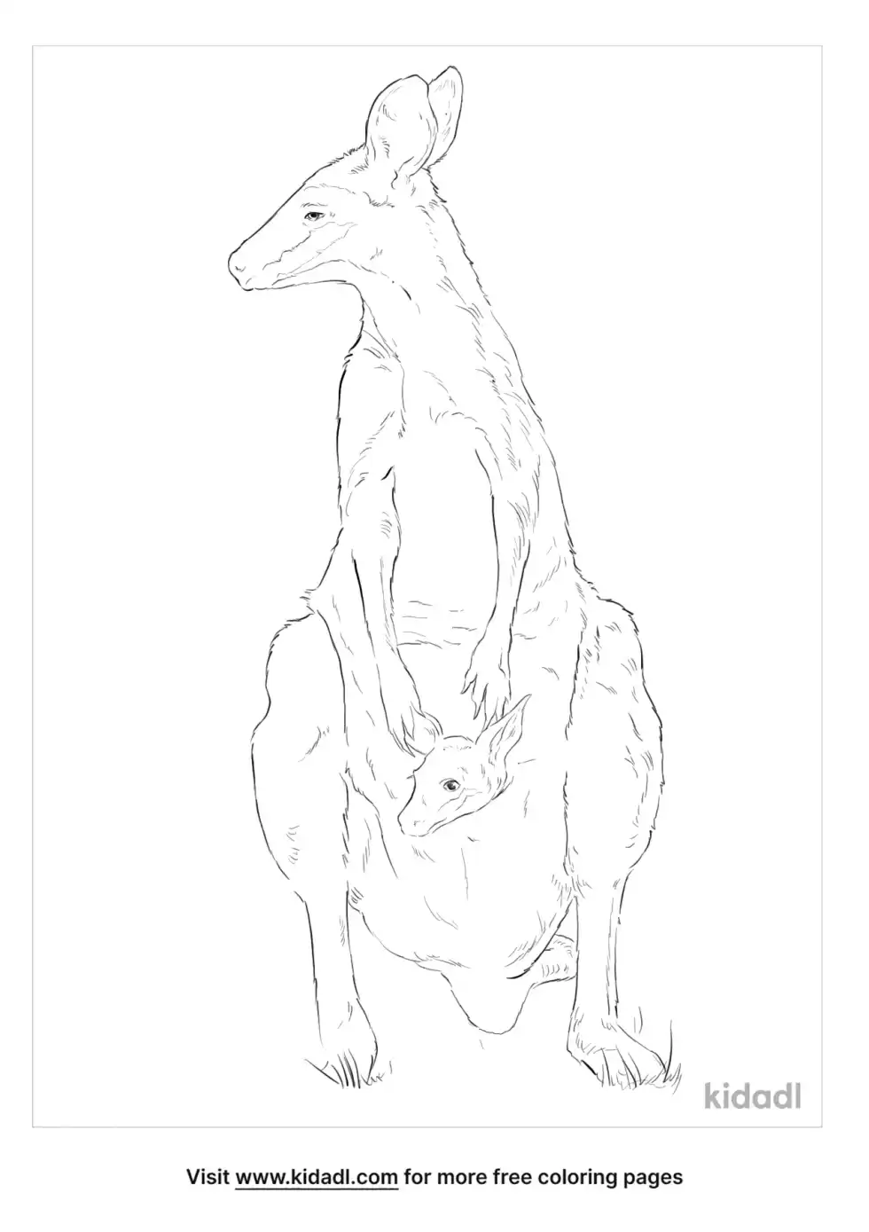 Whiptail Wallaby Coloring Page