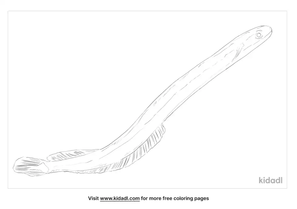 Wormfish Coloring Page