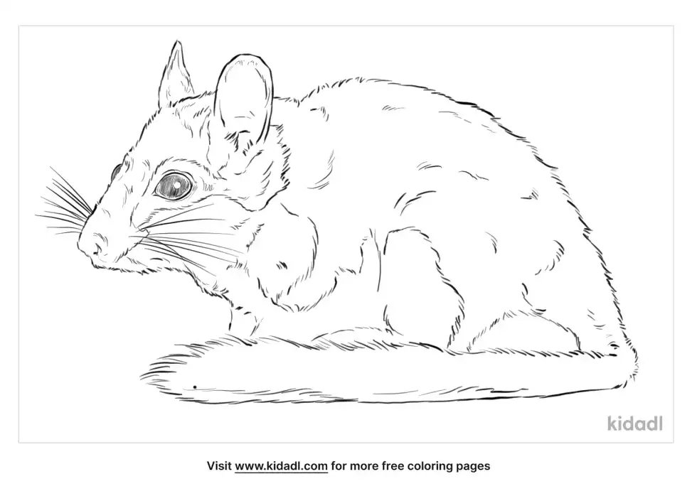 Garden Dormouse Coloring Page
