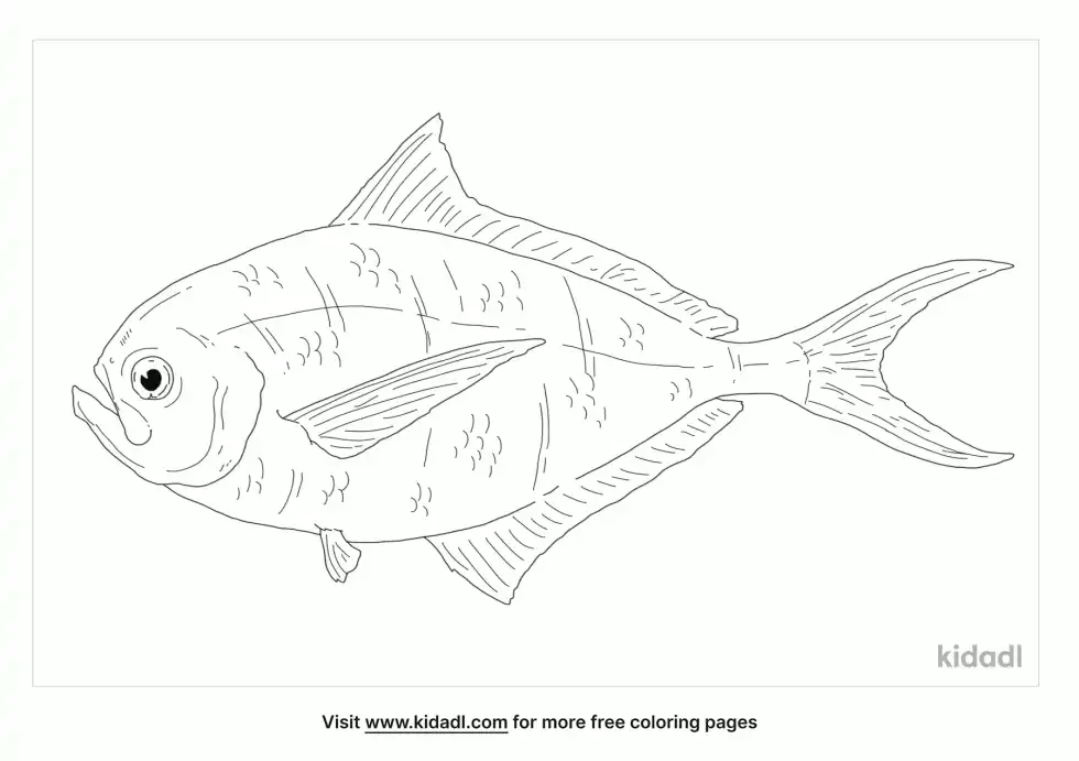 Sickle Pomfret Coloring Page