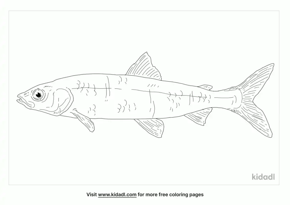 Shortjaw Cisco Coloring Page