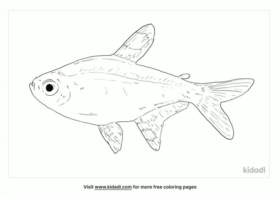 Croaking Tetra Coloring Page