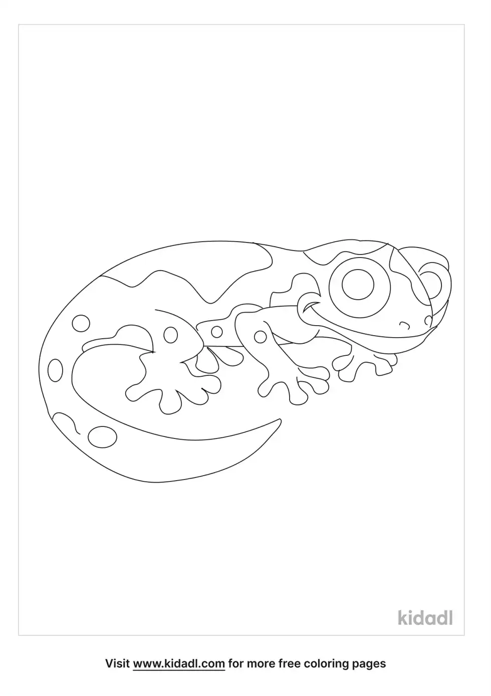 Spectacled Salamander Coloring Page