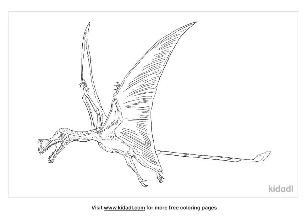 Austriadactylus Coloring Page