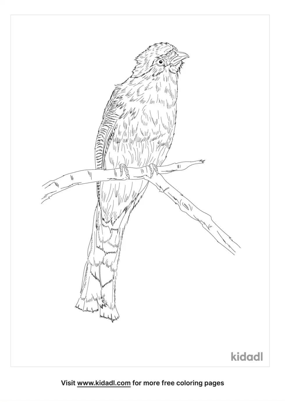 Hispaniolan Trogon Coloring Page