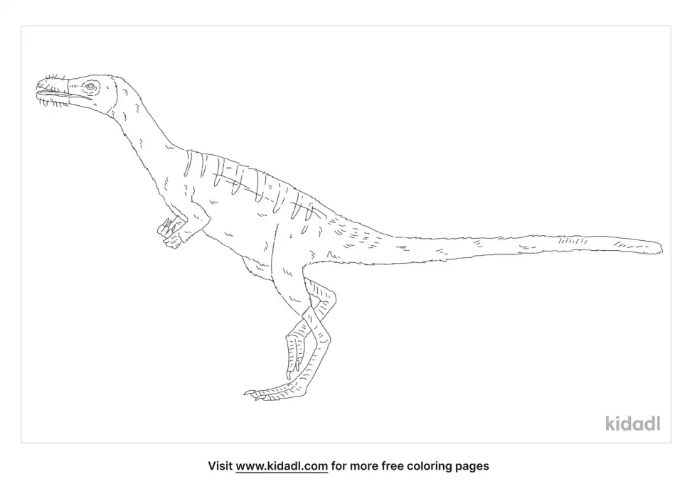 Haplocheirus Coloring Page