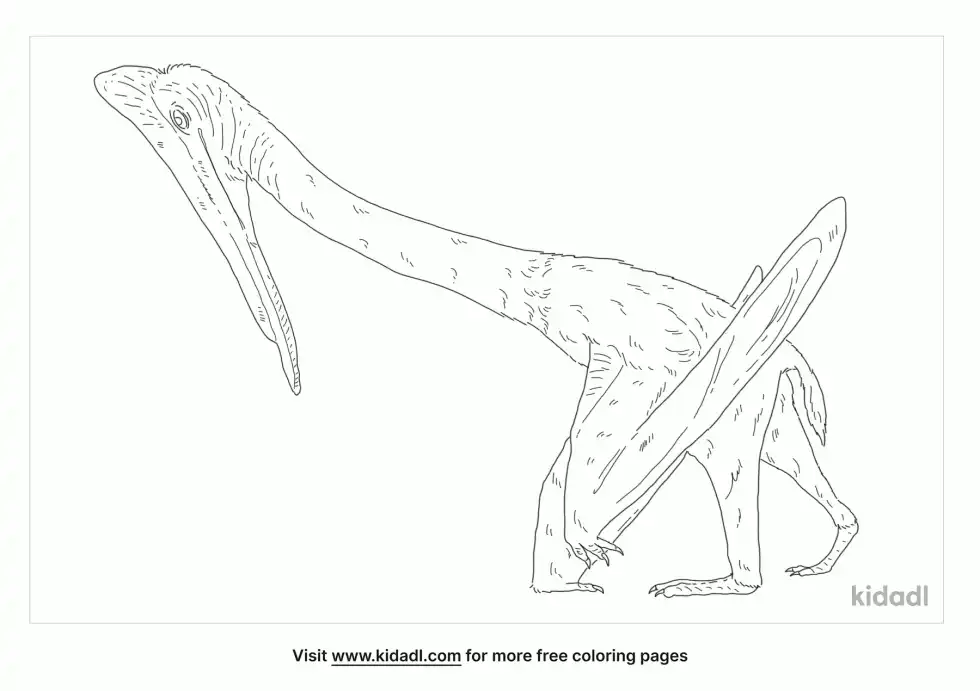 Moganopterus Coloring Page