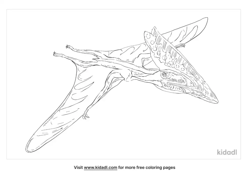 Thalassodromeus Coloring Page