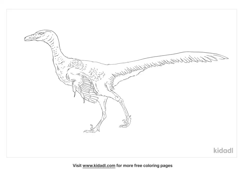 Saurornithoides Coloring Page