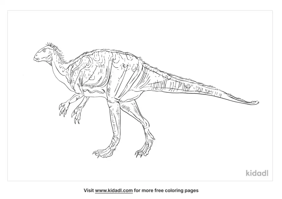 Dysalotosaurus Coloring Page
