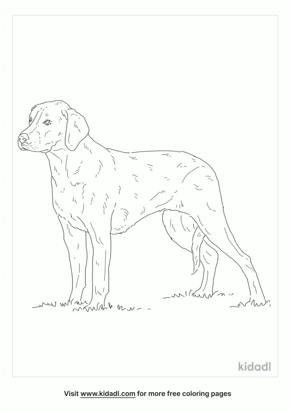 Hamiltonstovare Coloring Page
