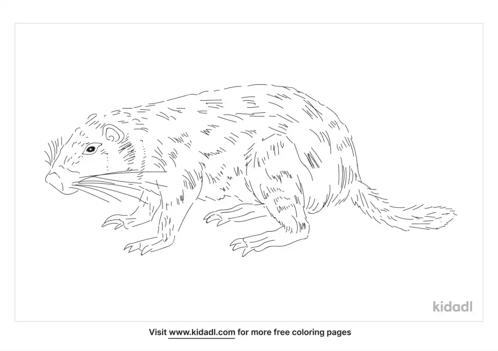 Pacarana Coloring Page