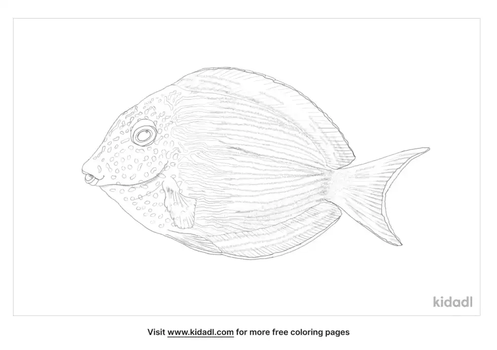Brown Surgeonfish Coloring Page