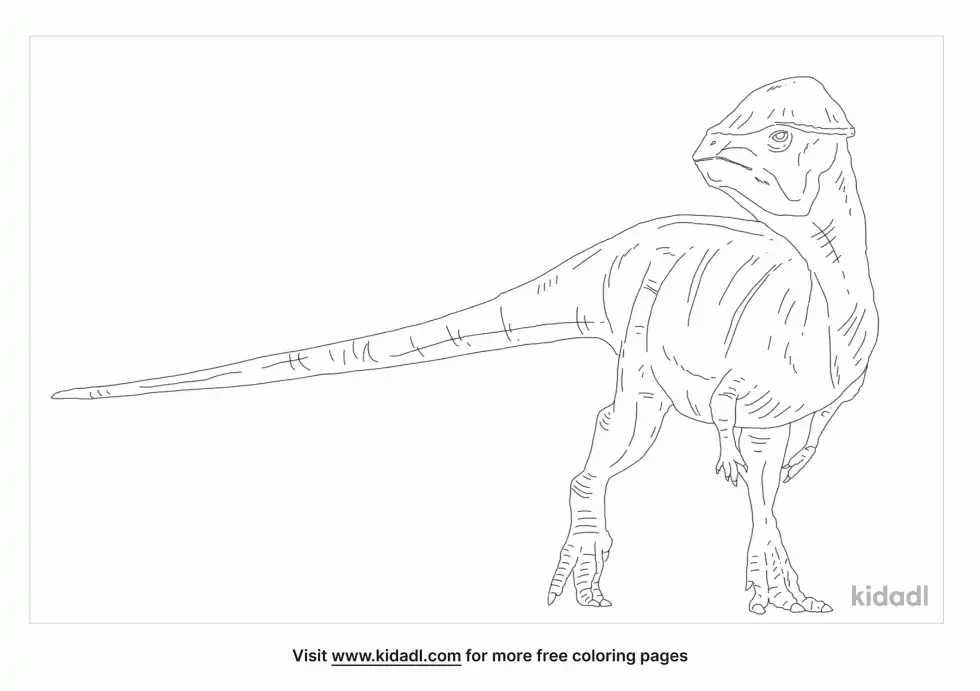 Sphaerotholus Coloring Page