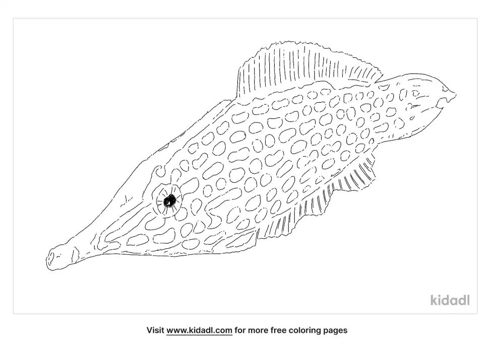 Orange Spotted Filefish Coloring Page