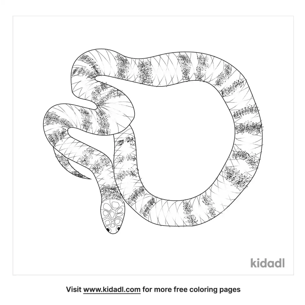 False Coral Snake Coloring Page