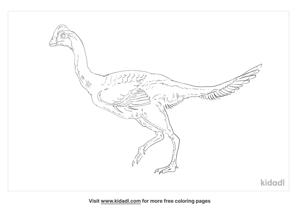 Nomingia Coloring Page