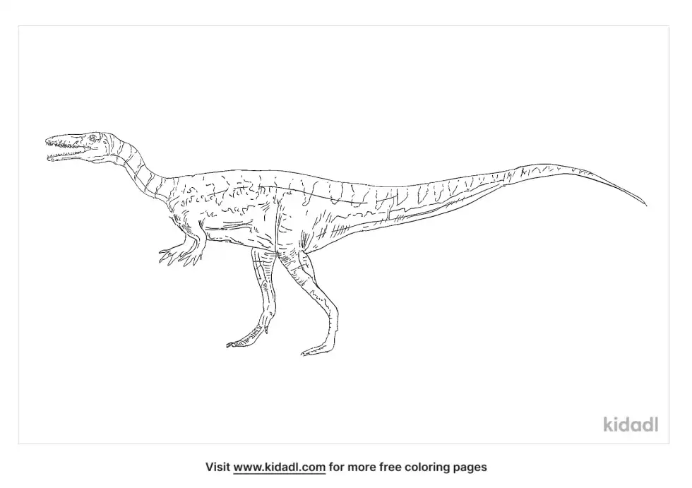 Alwalkeria Coloring Page