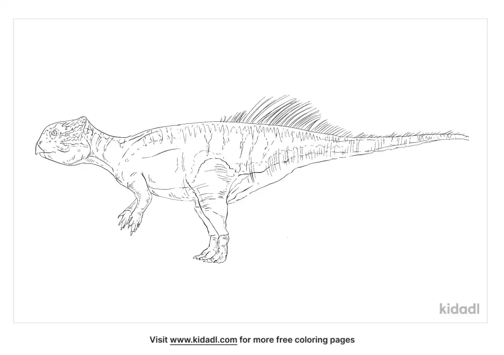 Cerasinops Coloring Page