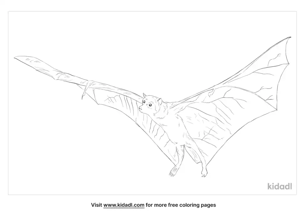 Pemba Flying Fox Coloring Page