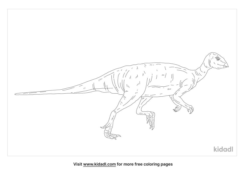 Qantassaurus Coloring Page