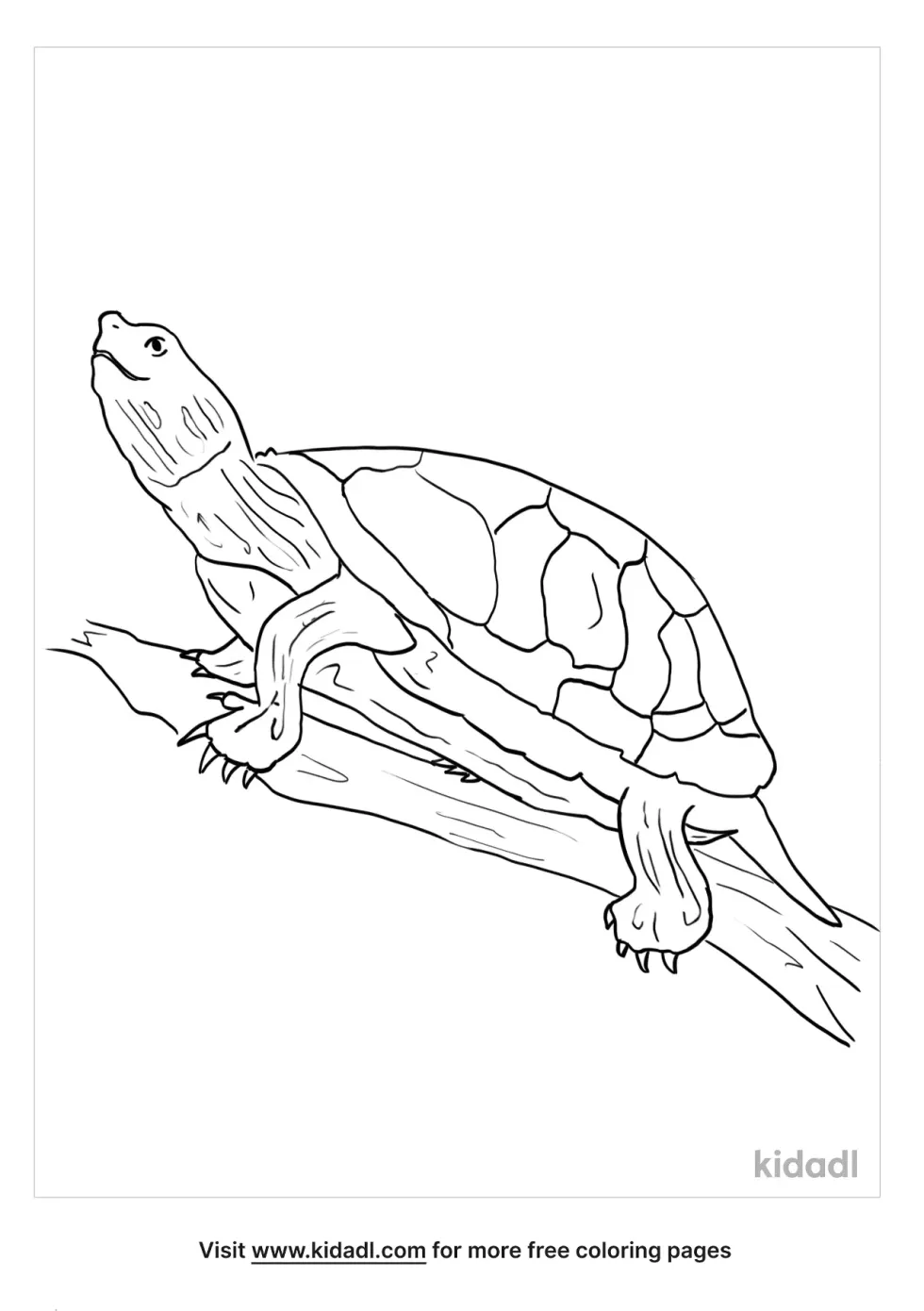 Western Painted Turtle Coloring Page