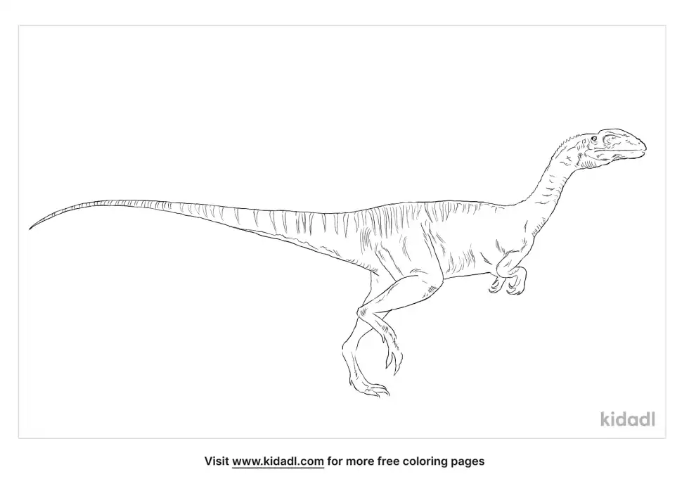 Syntarsus Coloring Page