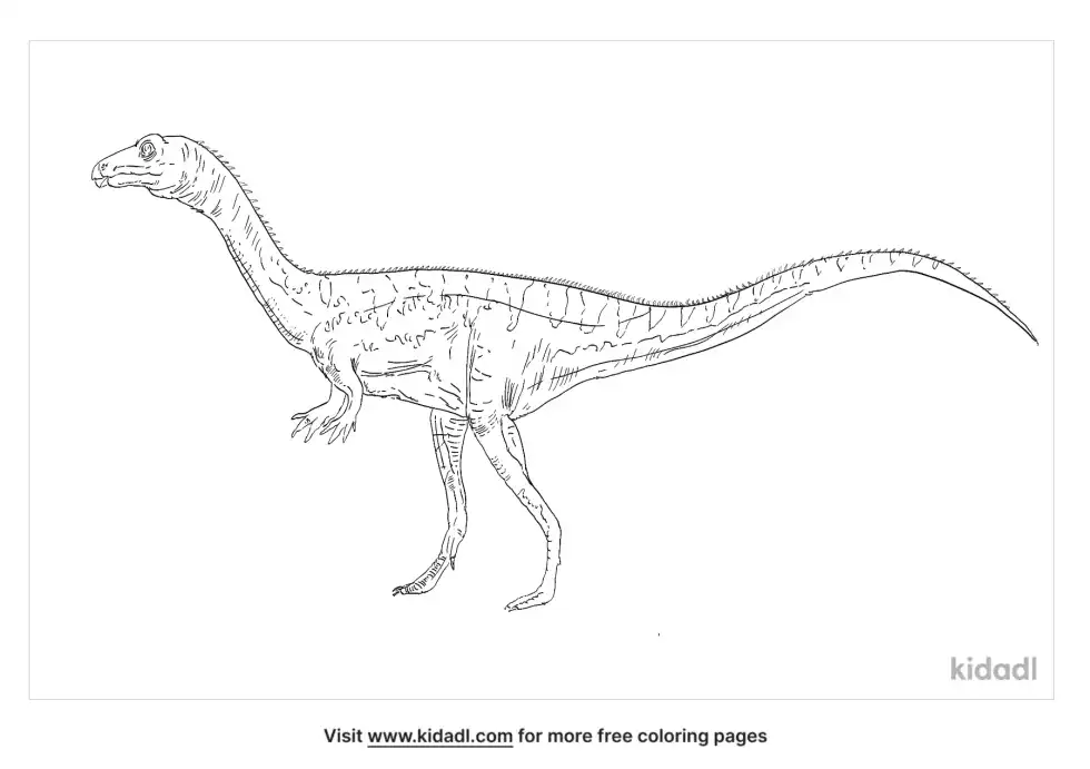 Pampadromaeus Coloring Page