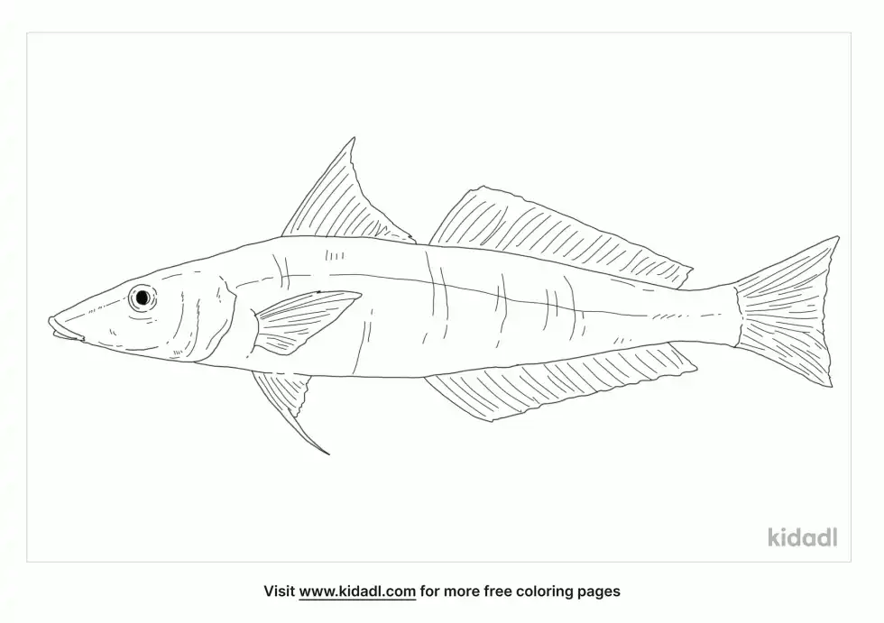 Sillago Coloring Page