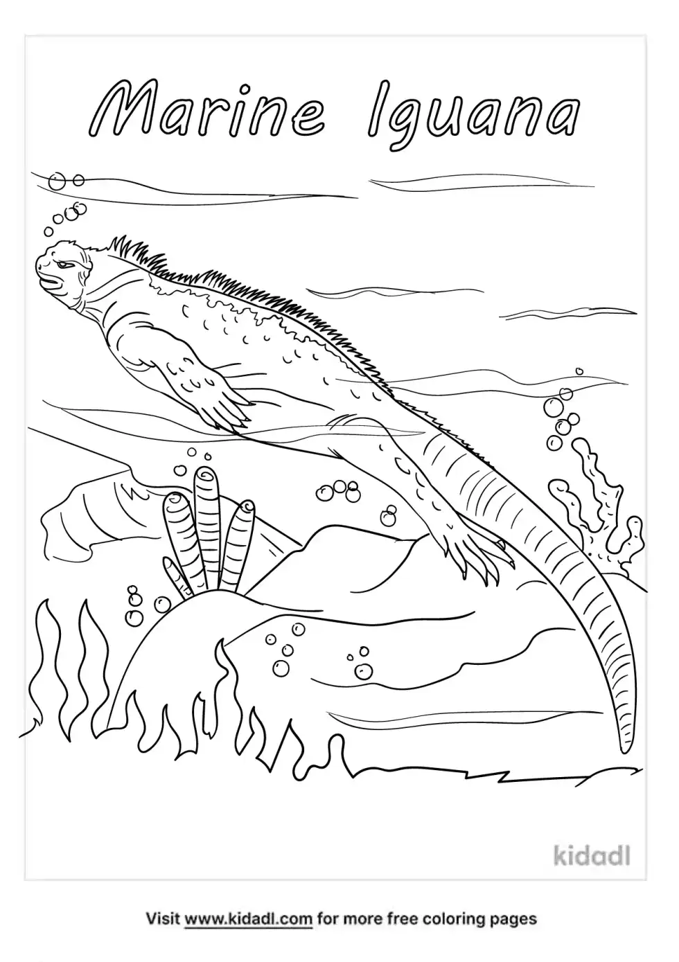 Marine Iguana Coloring Page