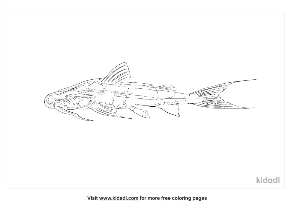 Devil Catfish Coloring Page