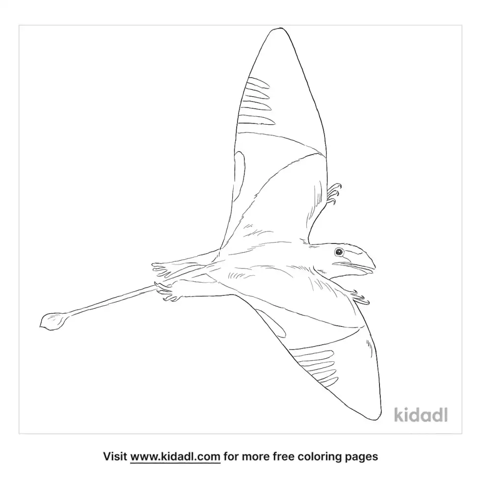 Peteinosaurus Coloring Page
