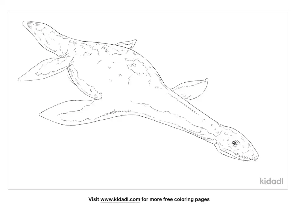 Kimmerosaurus Coloring Page