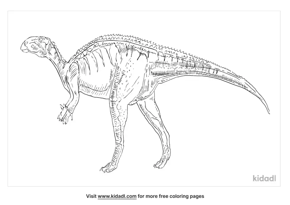 Jinzhousaurus Coloring Page
