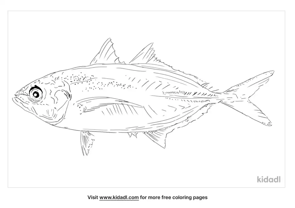 Yellowtail Scad Coloring Page