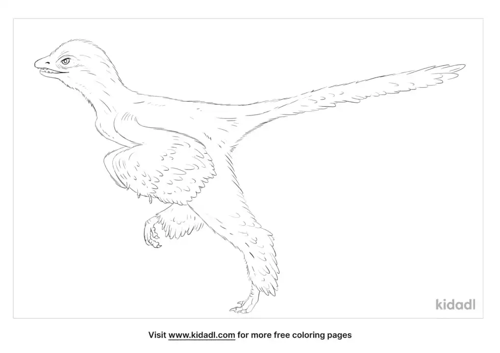 Aurornis Coloring Page
