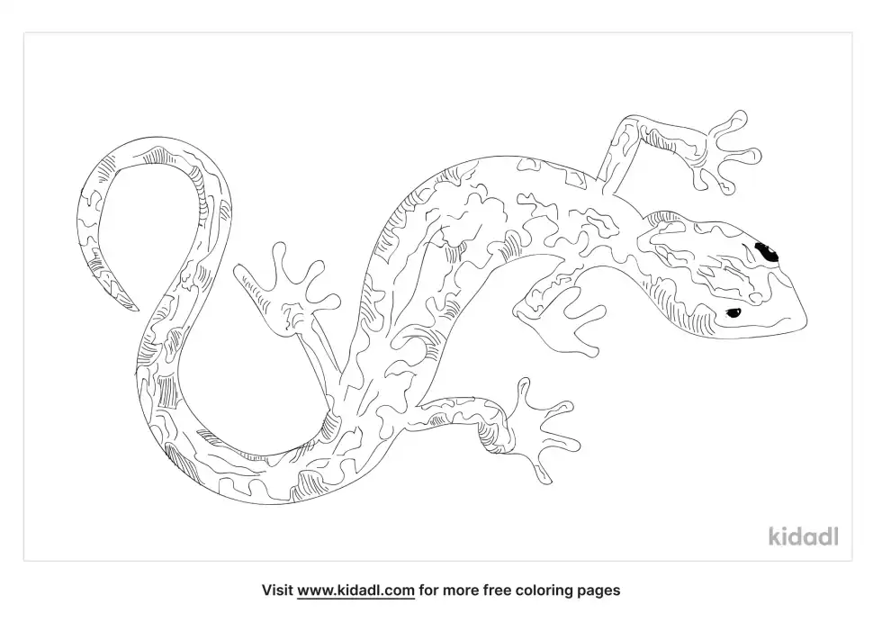 Green Salamander Coloring Page