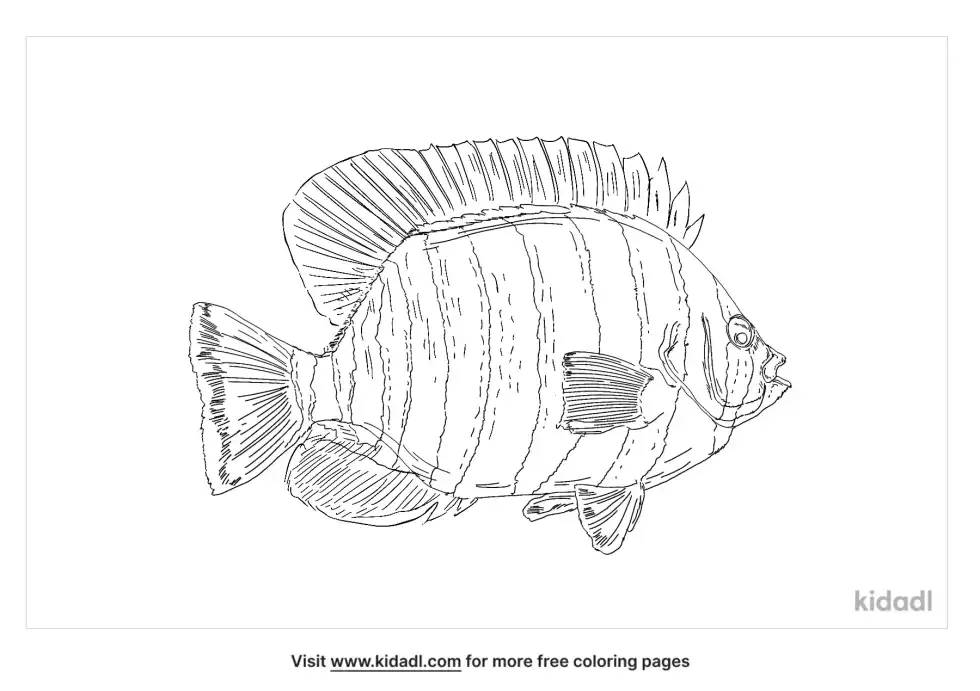 Flagfin Angel Coloring Page
