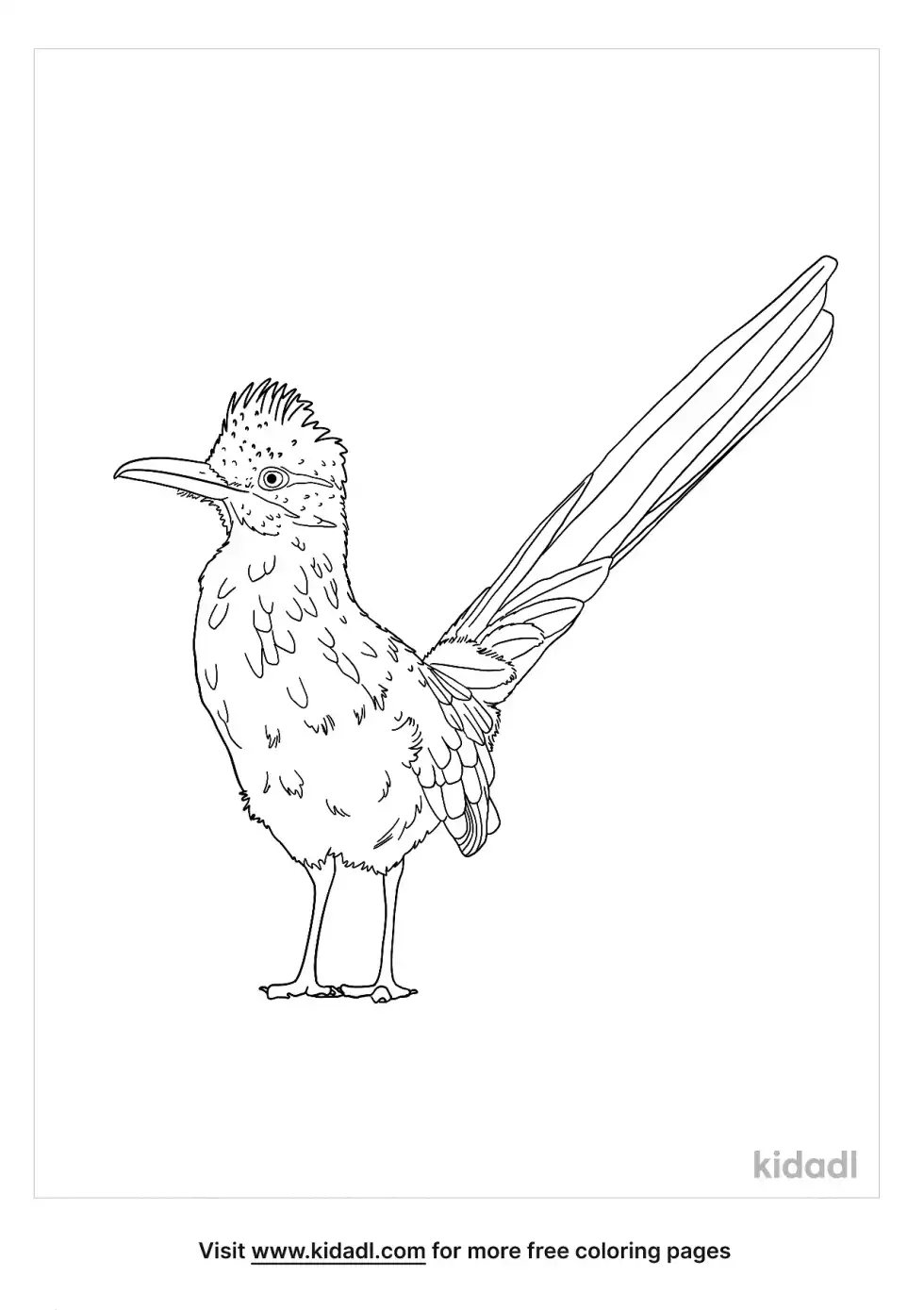 Road Runner Realistic Coloring Page