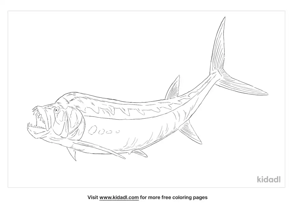Xiphactinus Coloring Page