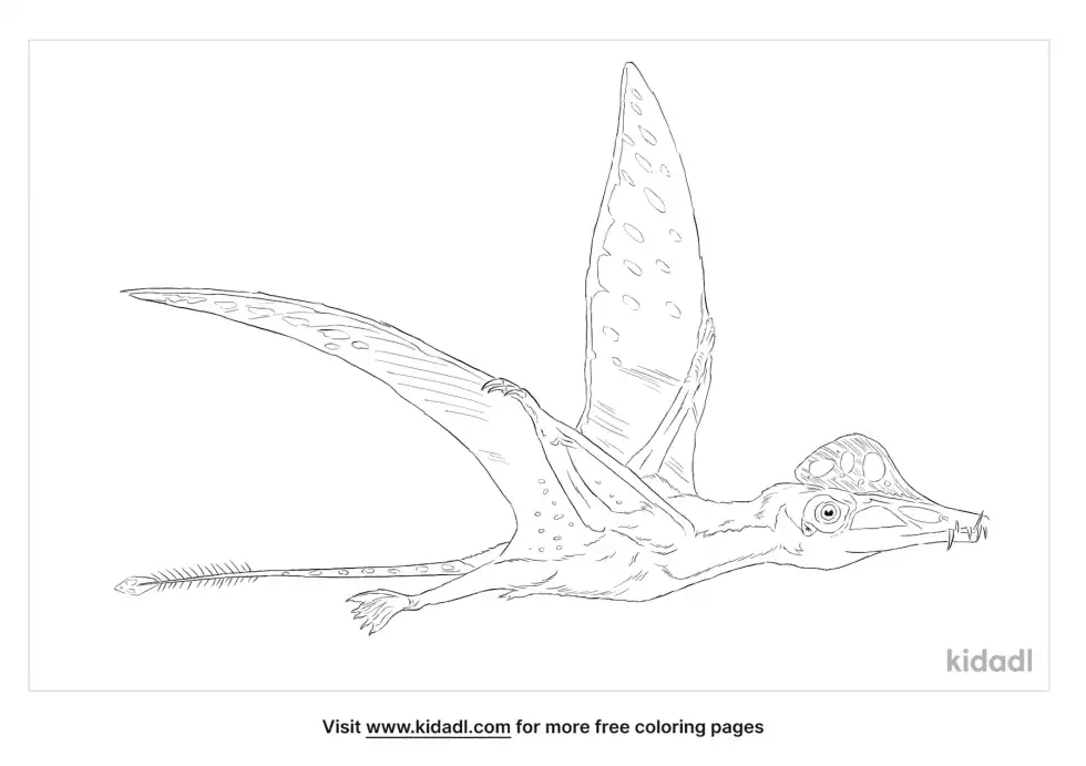Scaphognathus Coloring Page