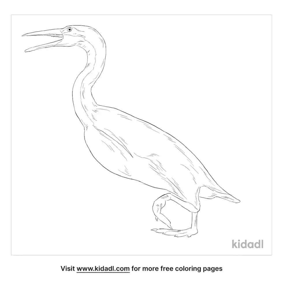 Hesperornis Coloring Page